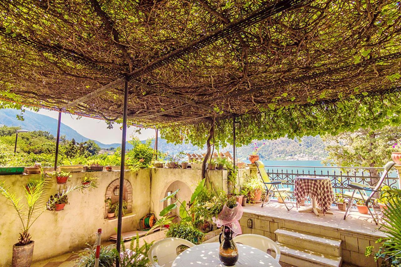 Villa Donkovic Kotor Exteriör bild